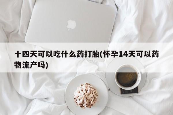 打胎药微信十四天可以吃什么药打胎(怀孕14天可以药物流产吗)